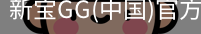 新宝GG